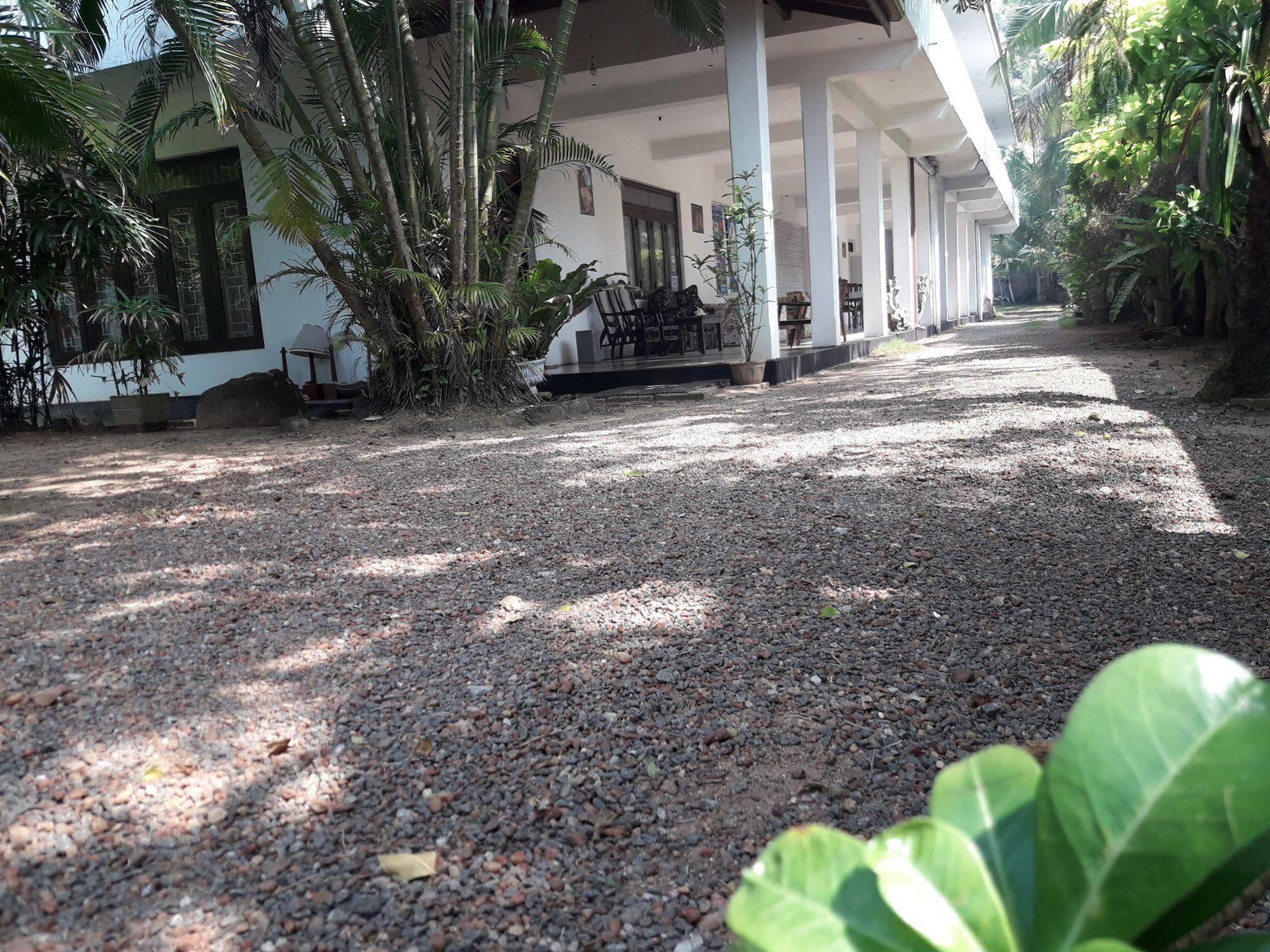 Hotel Sea Front Hikkaduwa Extérieur photo