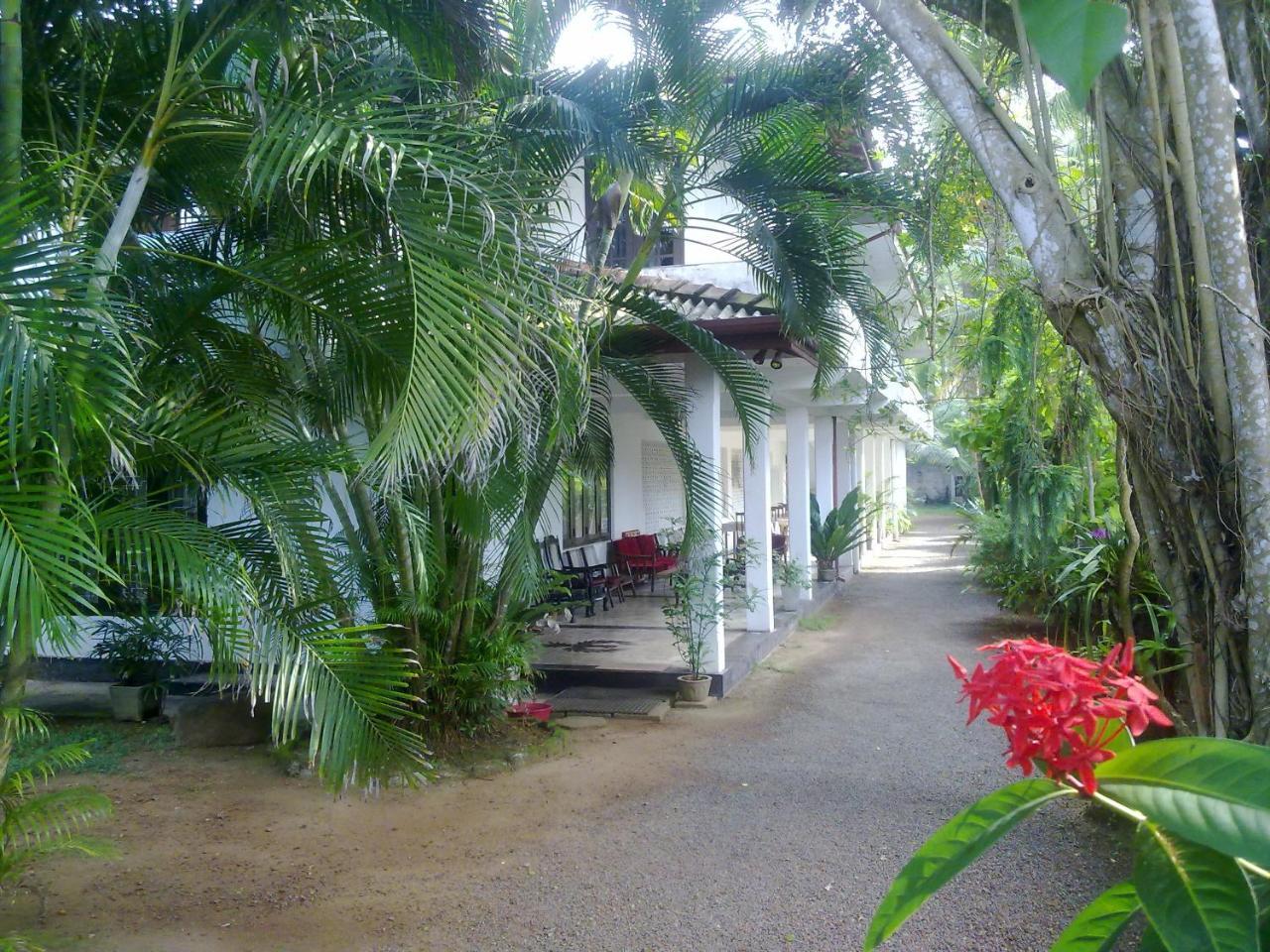 Hotel Sea Front Hikkaduwa Extérieur photo